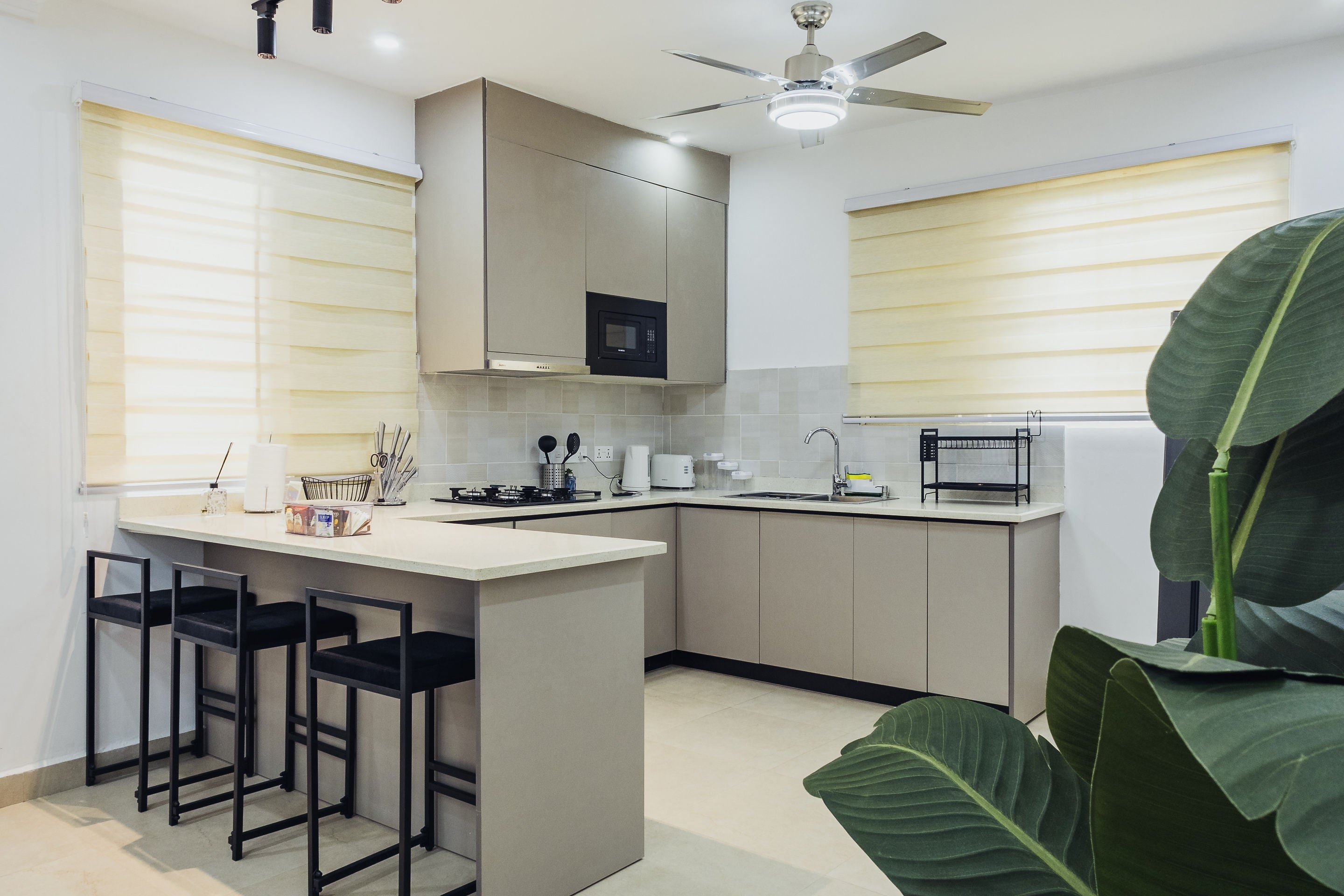Modern fitted kitchen